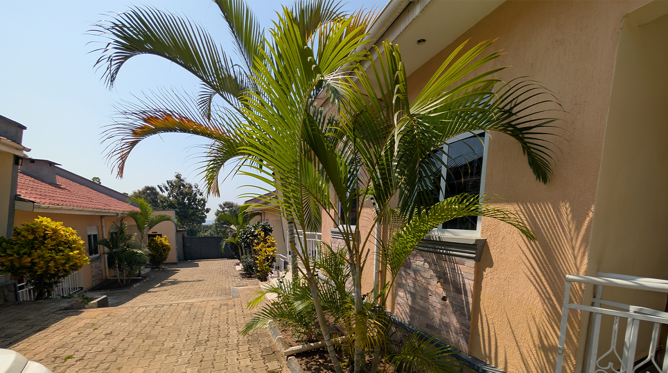 Boki Cottages gardens